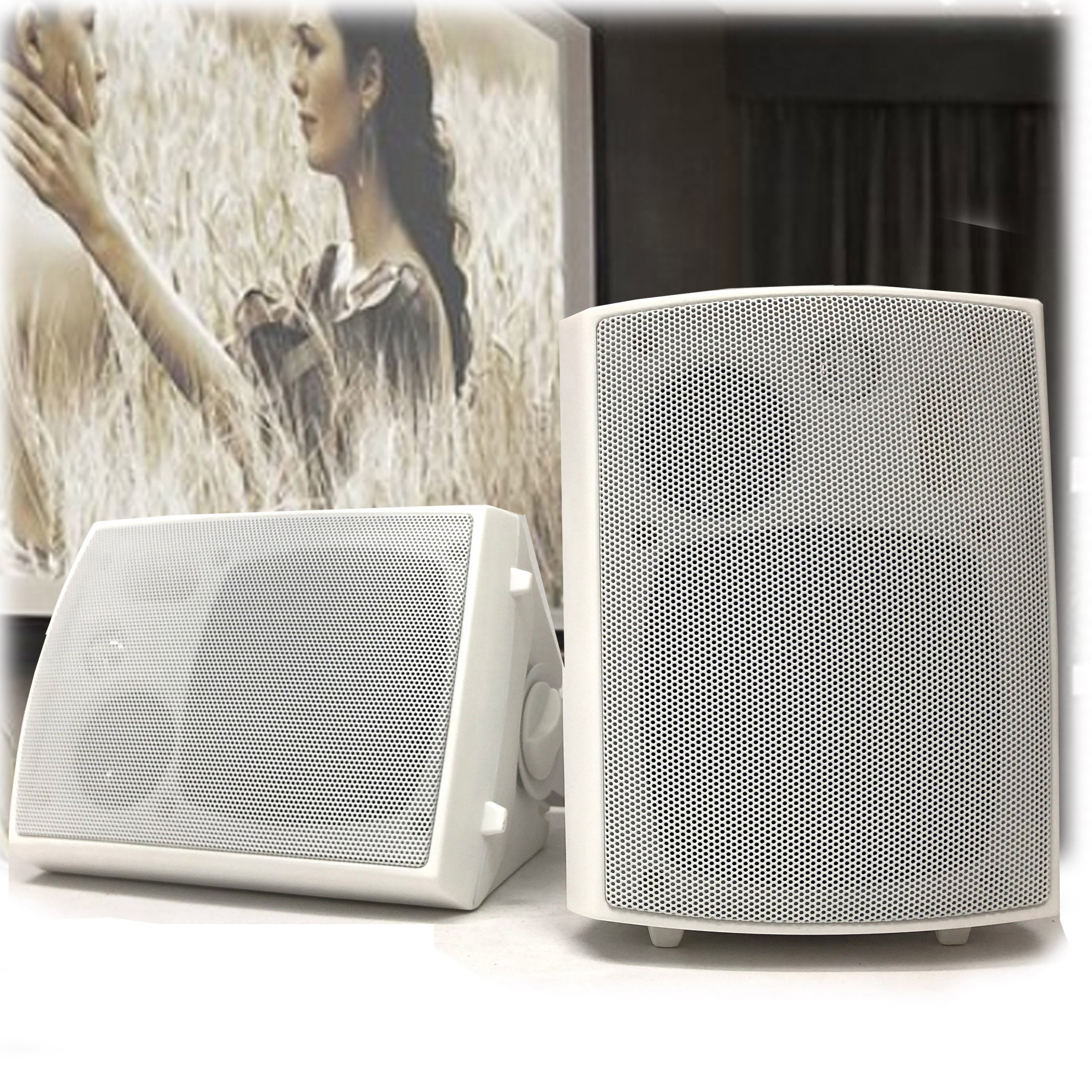 New Audioline Indoor Outdoor Speaker Pair 3-Way 4\" Bookshelf Wall / Ceiling Mount - SILBERSHELL