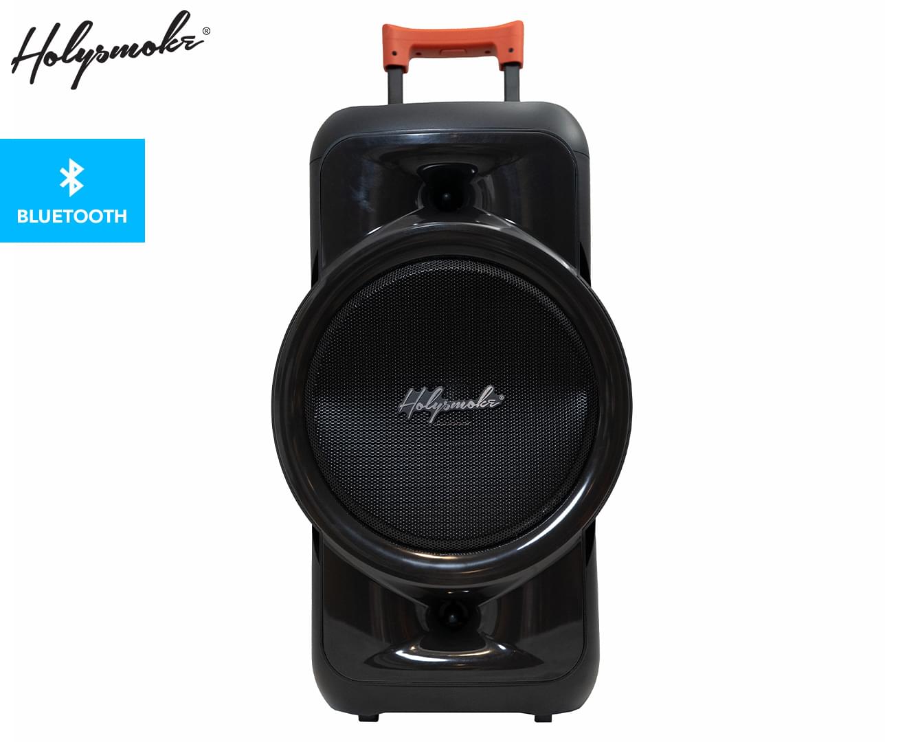 Holysmoke Raphe Bluetooth TWS Party Speaker 12" Portable - SILBERSHELL