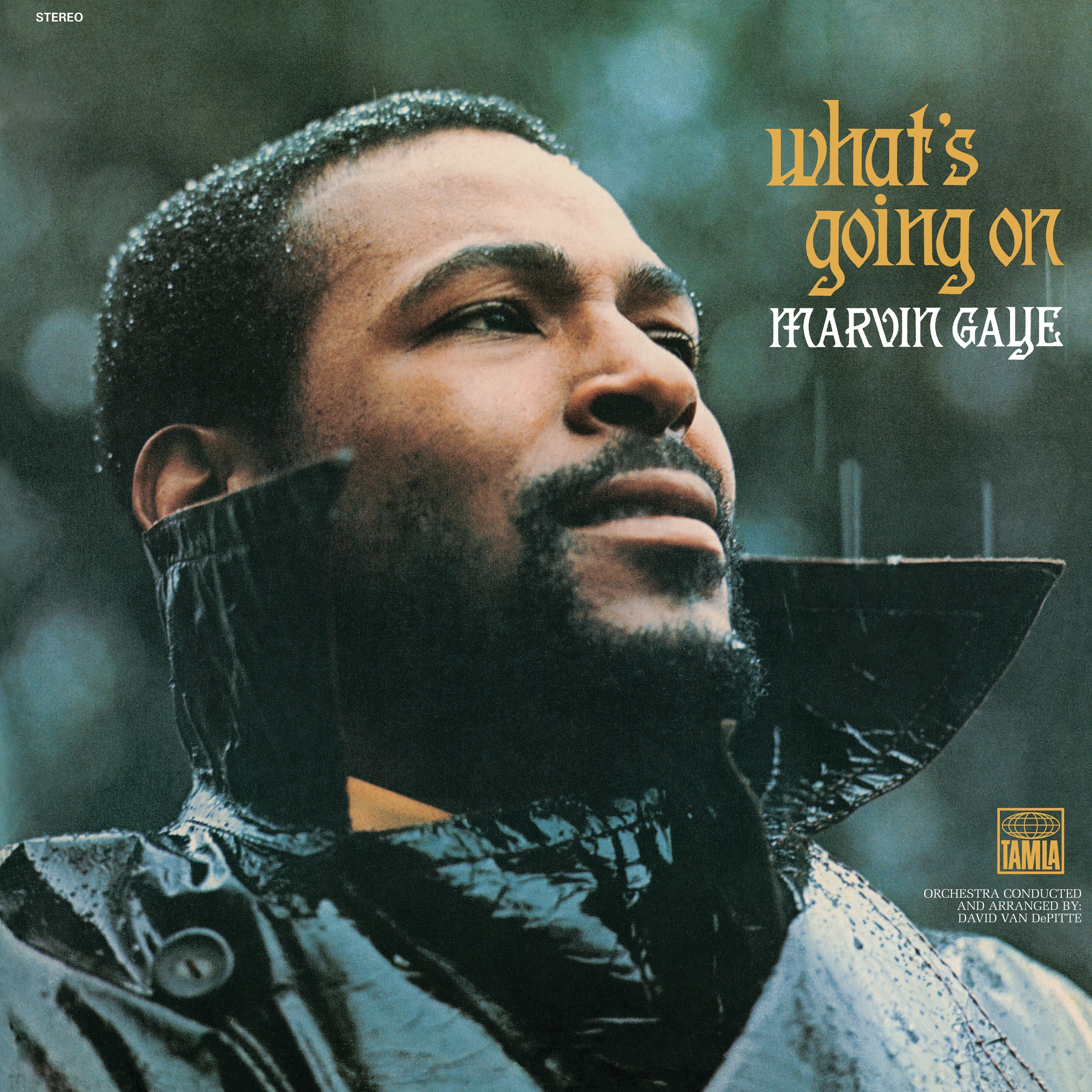 Marvin Gaye What'S Going On - Vinyl Album - SILBERSHELL
