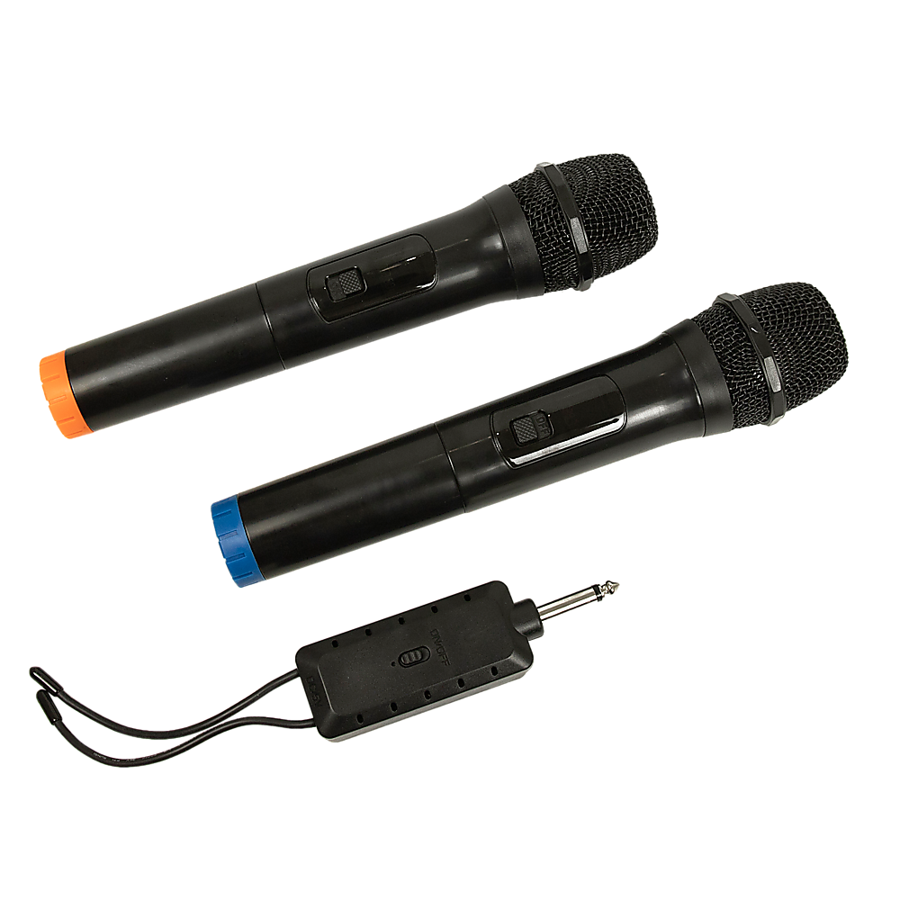 2 x Wireless Microphone Handheld Cordless Professional Mic Karaoke Receiver - SILBERSHELL