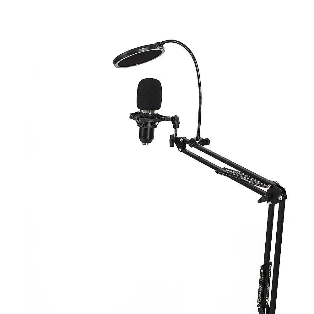 Professional Condenser Microphone USB Voice & Music Cantilever Bracket Set - SILBERSHELL