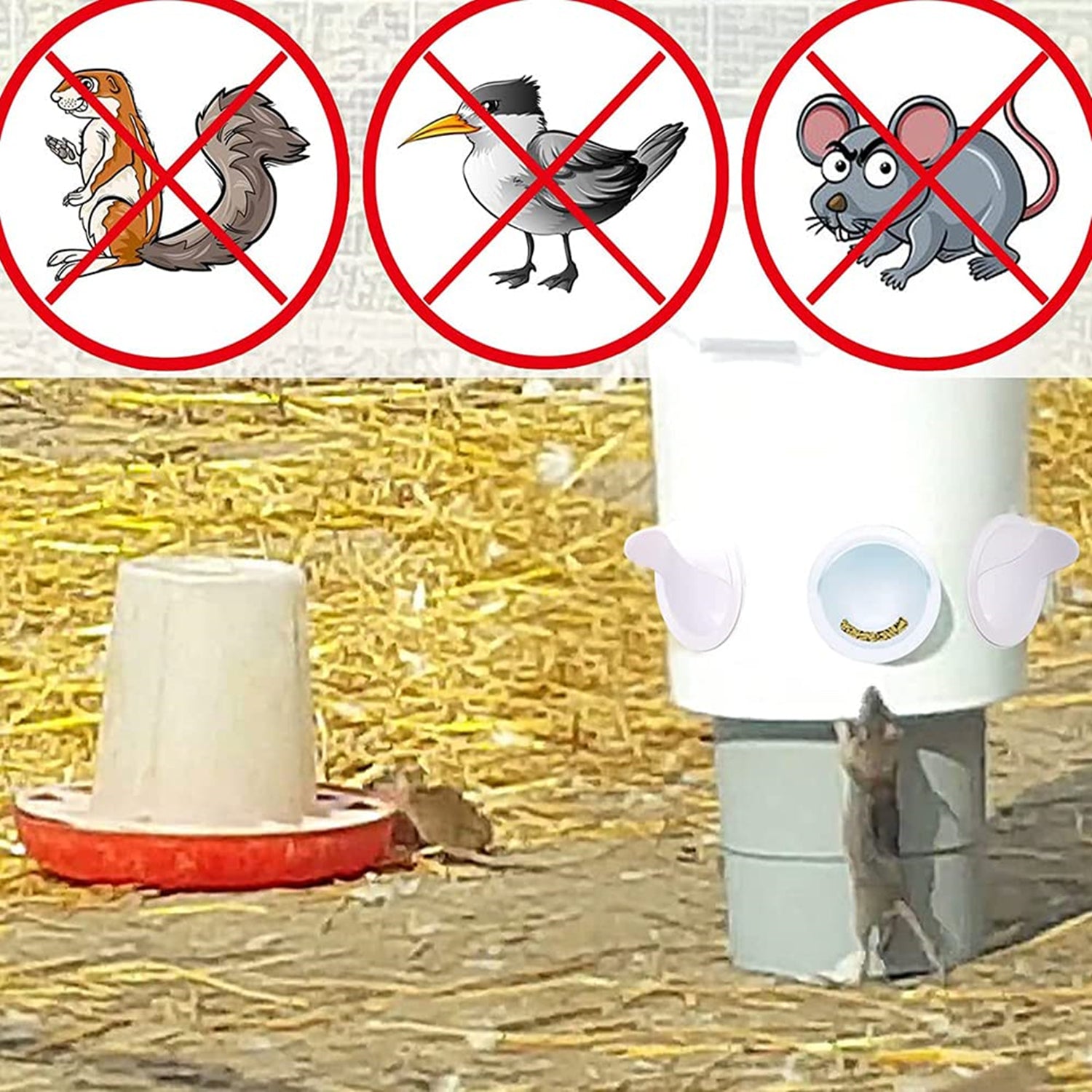 4 Port Chicken Feeder Poultry Feeder DIY Port PVC Gravity Fed Chicken Feeder - SILBERSHELL