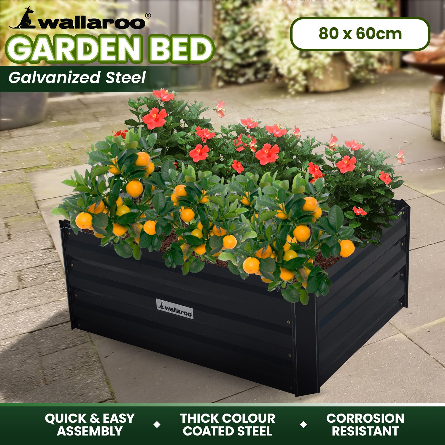 Wallaroo Garden Bed 80 x 60 x 30cm Galvanized Steel - Black - SILBERSHELL