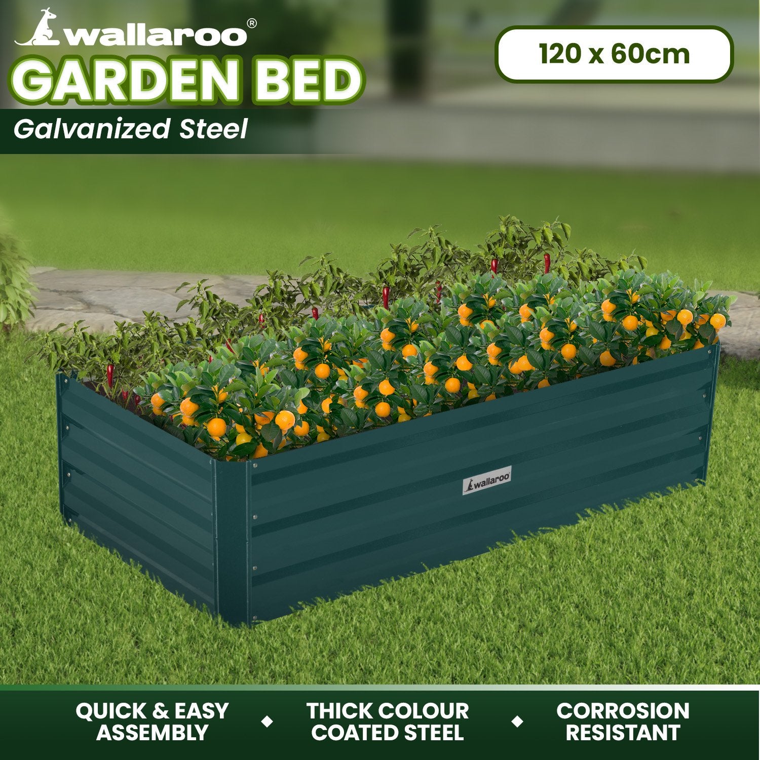 Wallaroo Garden Bed 120 x 60 x 30cm Galvanized Steel - Green - SILBERSHELL