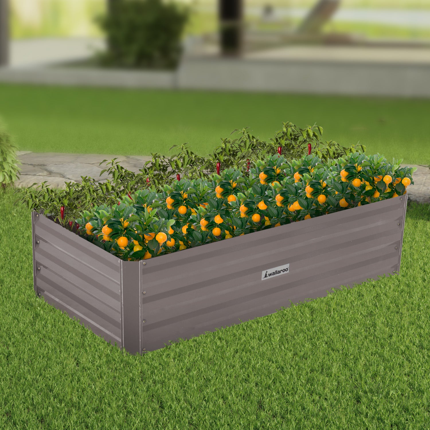 Wallaroo Garden Bed 120 x 60 x 30cm Galvanized Steel - Grey - SILBERSHELL