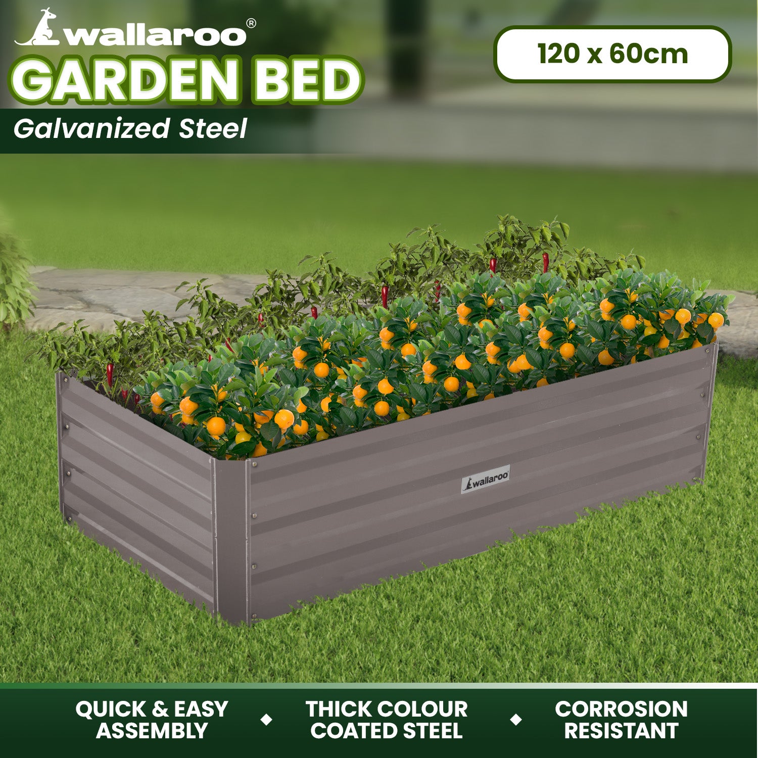 Wallaroo Garden Bed 120 x 60 x 30cm Galvanized Steel - Grey - SILBERSHELL