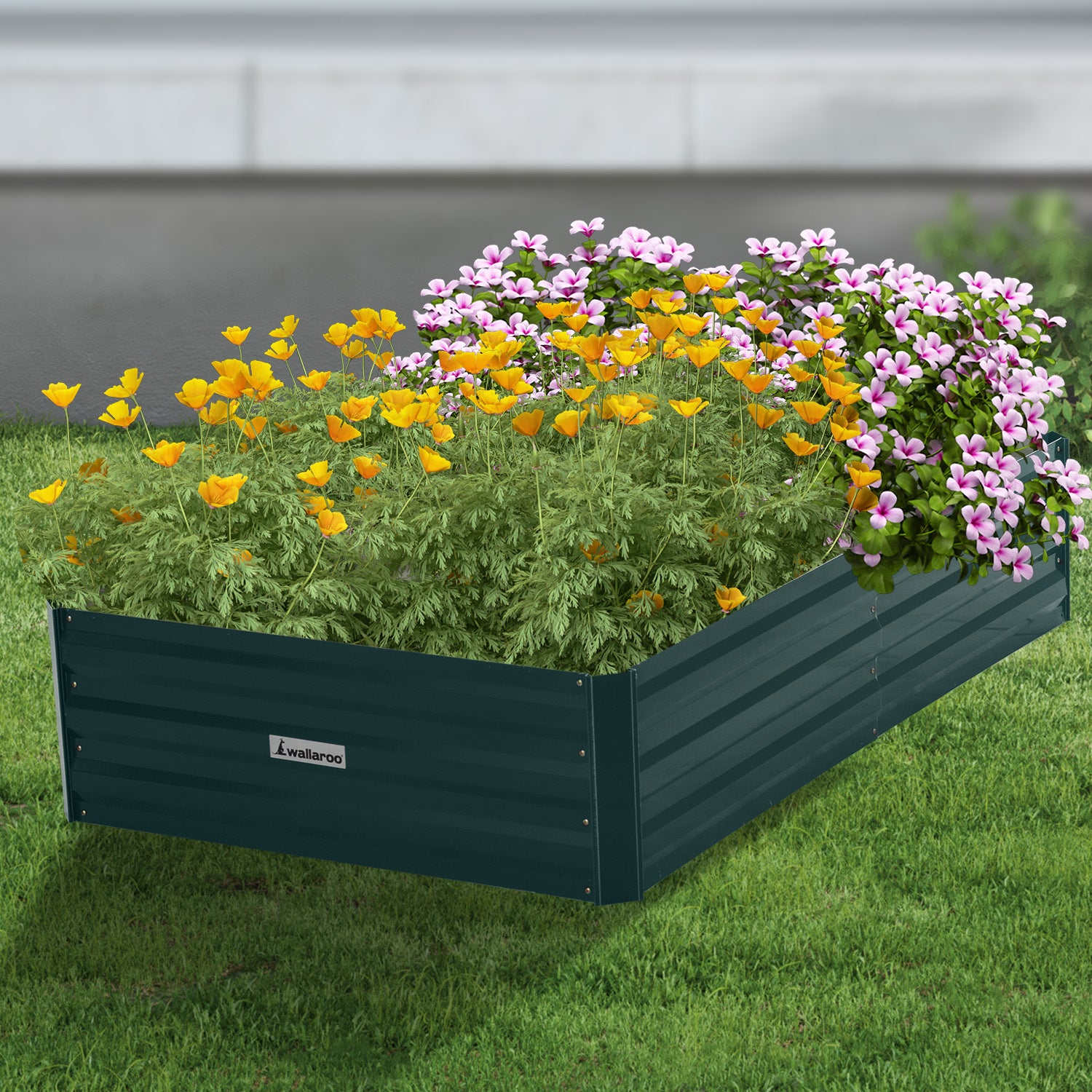 Wallaroo Garden Bed 150 x 90 x 30cm Galvanized Steel - Green - SILBERSHELL