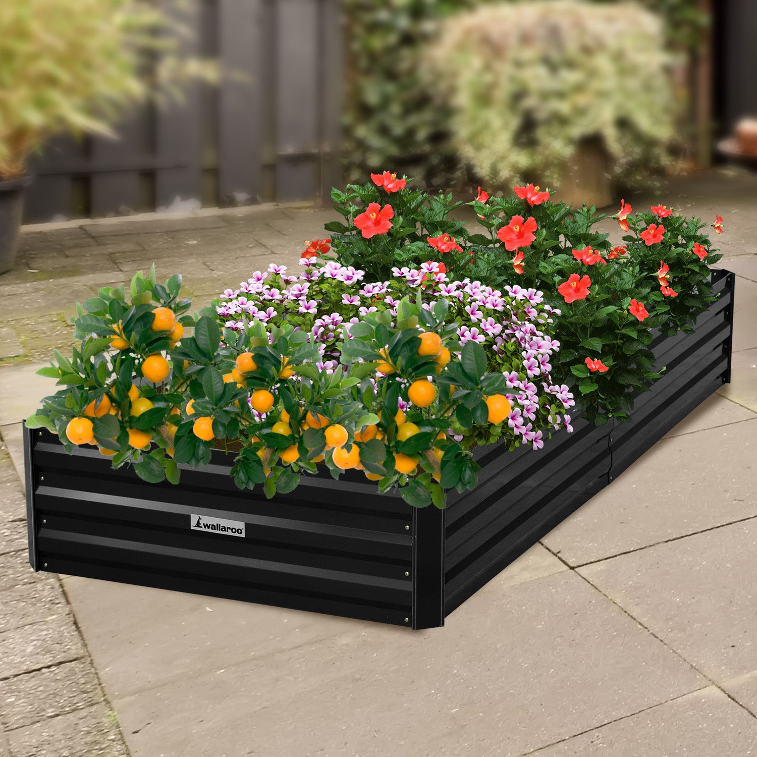 Wallaroo Garden Bed 210 x 90 x 30cm Galvanized Steel - Black - SILBERSHELL