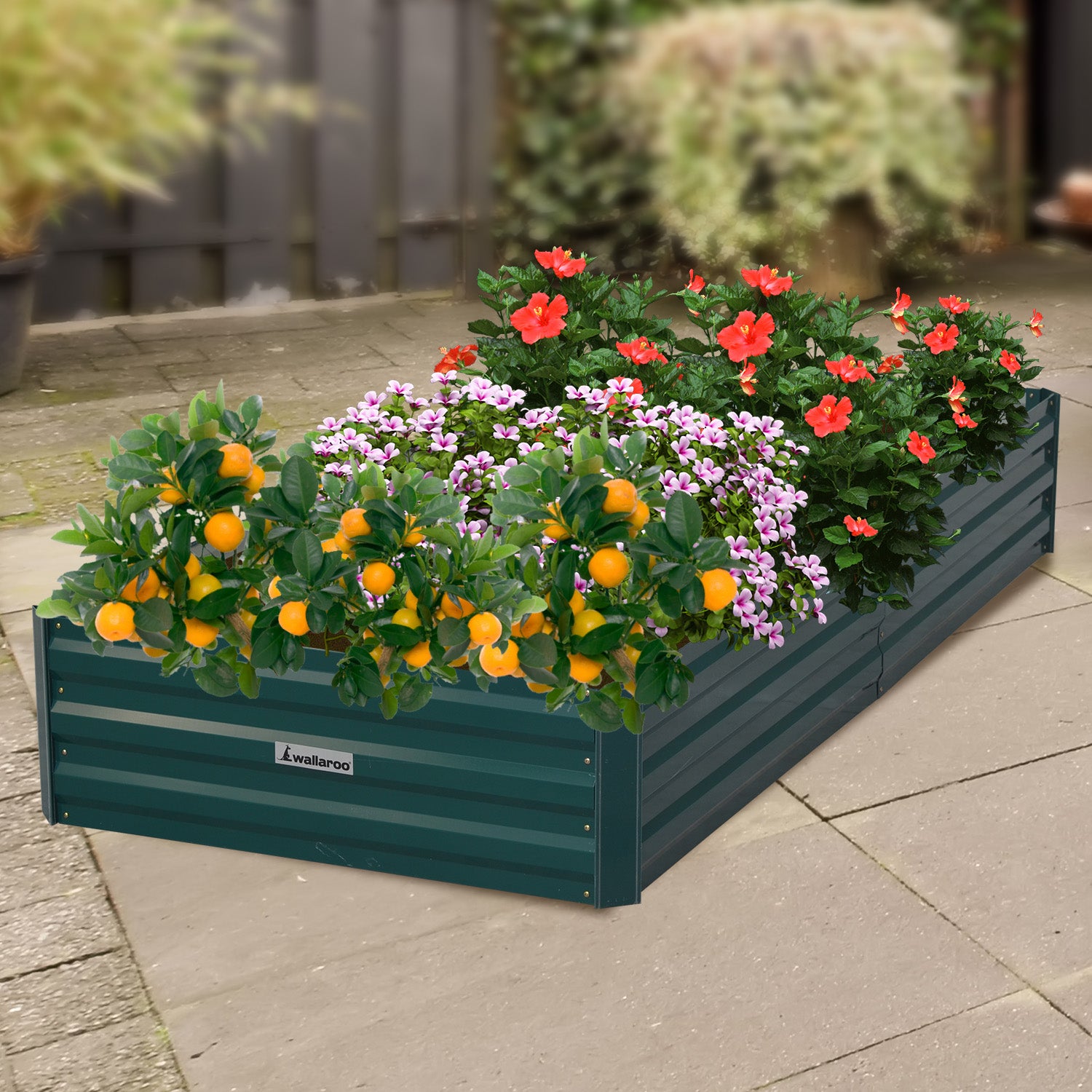 Wallaroo Garden Bed 210 x 90 x 30cm Galvanized Steel - Green - SILBERSHELL