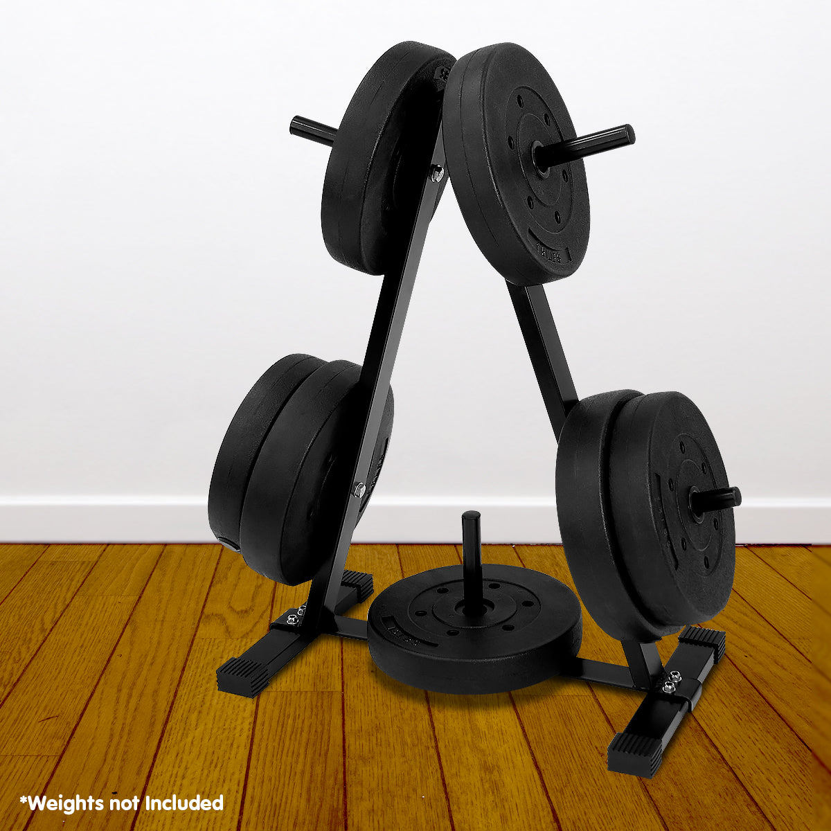 Powertrain Weight Plates Storage Home Gym Rack - SILBERSHELL