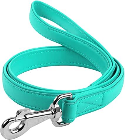 Waudog Leather Flat Clip Leash W9MM - L122CM MINT - SILBERSHELL