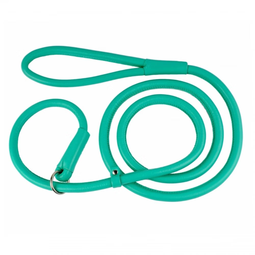 Waudog Leather Round Slip Leash W8MM- L183CM MINT - SILBERSHELL