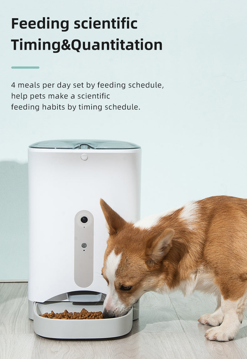 Smart Automatic Pet Dog Cat Rabbit Feeder Smartphone Camera APP for iPhone Android - SILBERSHELL