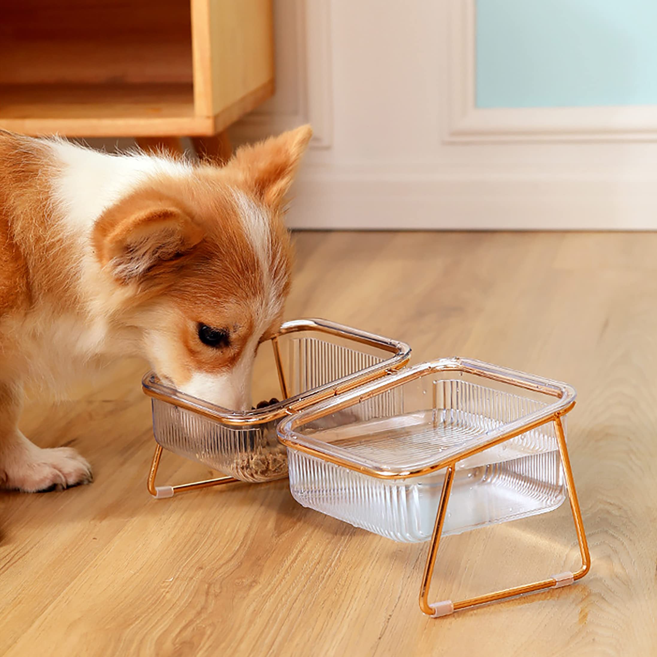 Pet Dog Cat Puppy Food Water Bowls Feeding Dishes 2 Large Bowl Dishwasher Safe - SILBERSHELL