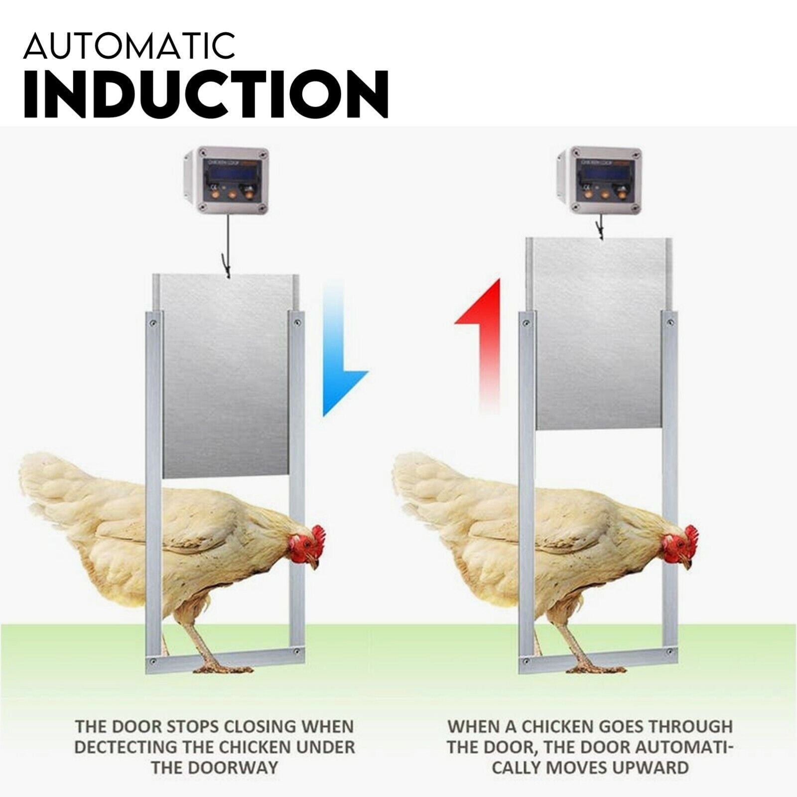 Chicken Coop Door with Digital LCD Screen to manage Timer and Sensor - SILBERSHELL