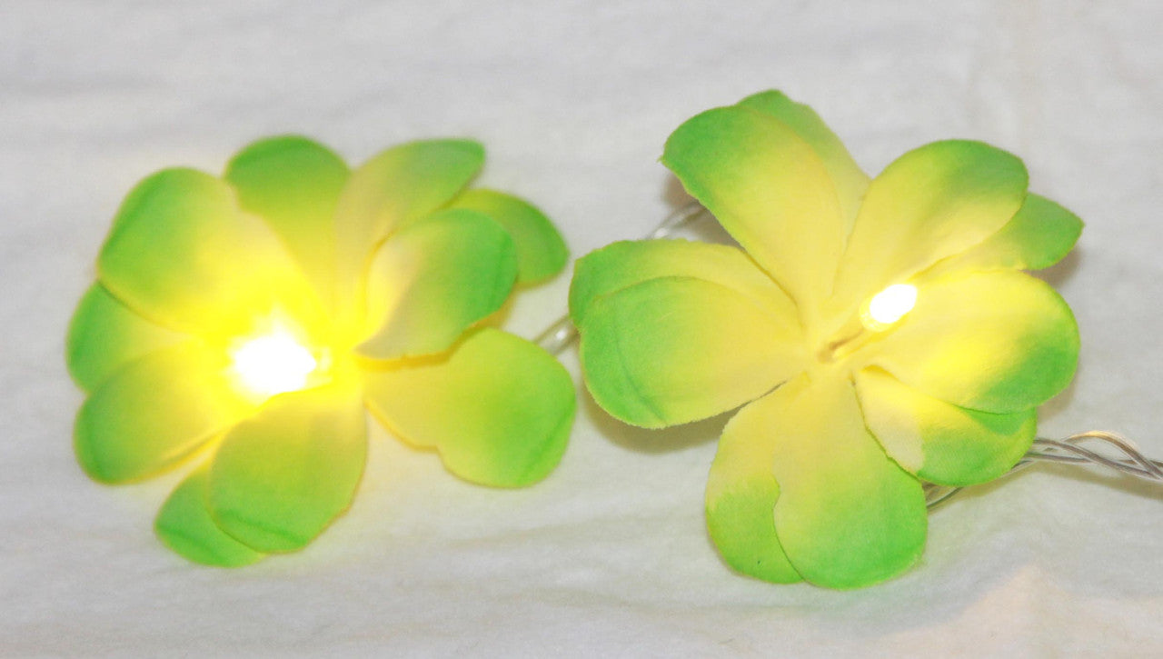 1 Set of 20 LED Green Frangipani Flower Battery String Lights Christmas Gift Home Wedding Party Decoration Outdoor Table Garland Wreath - SILBERSHELL