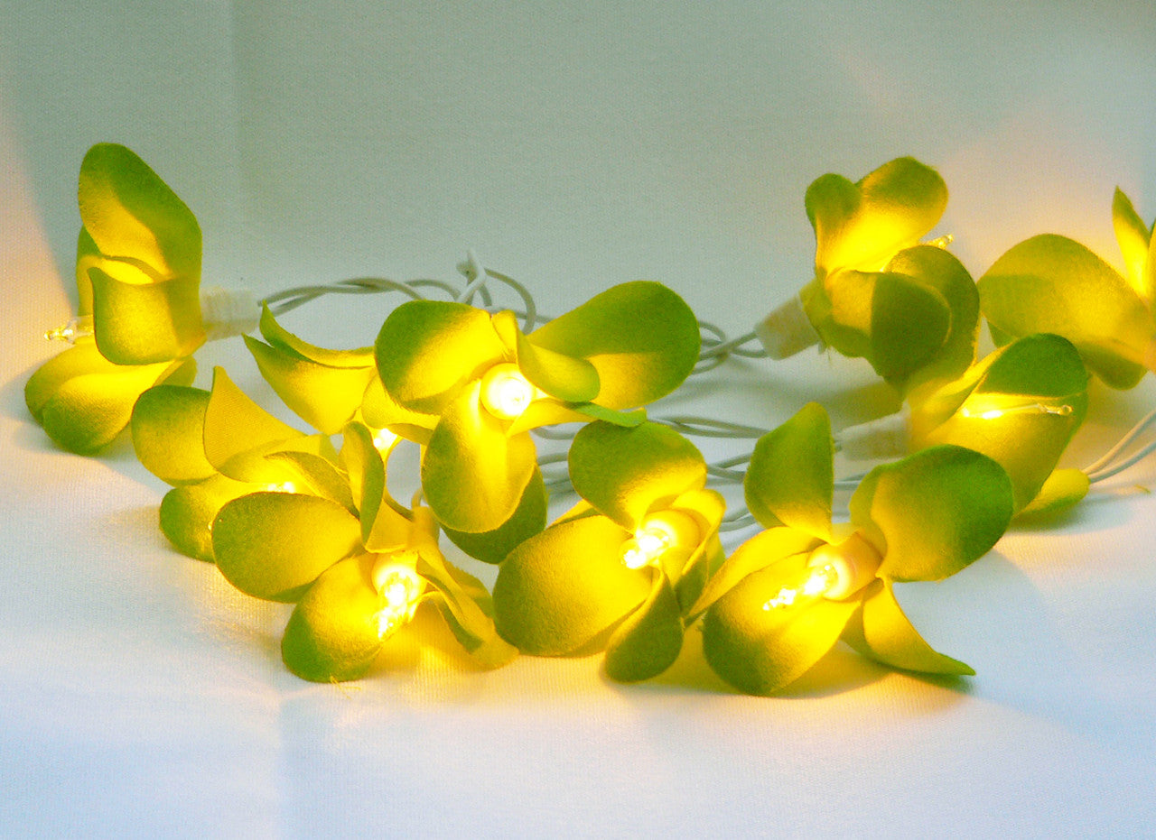 1 Set of 20 LED Green Frangipani Flower Battery String Lights Christmas Gift Home Wedding Party Decoration Outdoor Table Garland Wreath - SILBERSHELL