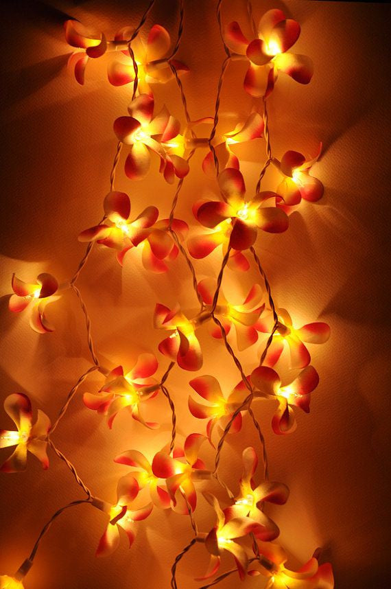 1 Set of 20 LED Orange Frangipani Flower Battery String Lights Christmas Gift Home Wedding Party Decoration Outdoor Table Garland Wreath - SILBERSHELL