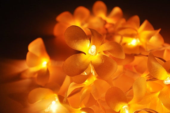 1 Set of 20 LED Orange Frangipani Flower Battery String Lights Christmas Gift Home Wedding Party Decoration Outdoor Table Garland Wreath - SILBERSHELL