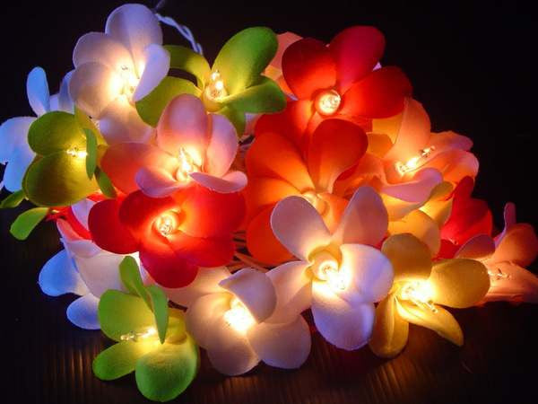 1 Set of 20 LED Tropical Bright Colous Frangipani Flower Battery String Lights Christmas Gift Home Wedding Party Decoration Outdoor Table Centrepiece - SILBERSHELL