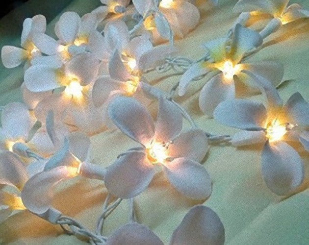 1 Set of 20 LED White Frangipani Flower Battery String Lights Christmas Gift Home Wedding Beach Party Decoration Outdoor Table Centrepiece - SILBERSHELL