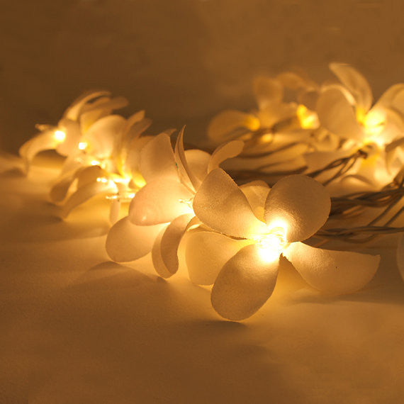 1 Set of 20 LED White Frangipani Flower Battery String Lights Christmas Gift Home Wedding Beach Party Decoration Outdoor Table Centrepiece - SILBERSHELL