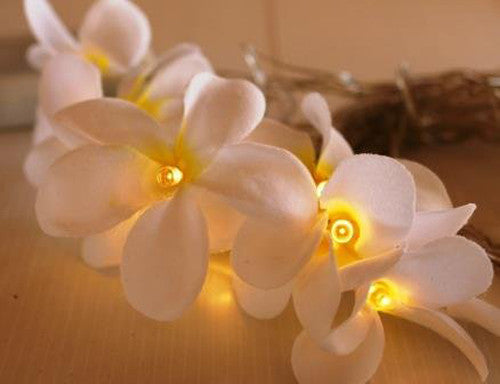 1 Set of 20 LED White Frangipani Flower Battery String Lights Christmas Gift Home Wedding Beach Party Decoration Outdoor Table Centrepiece - SILBERSHELL