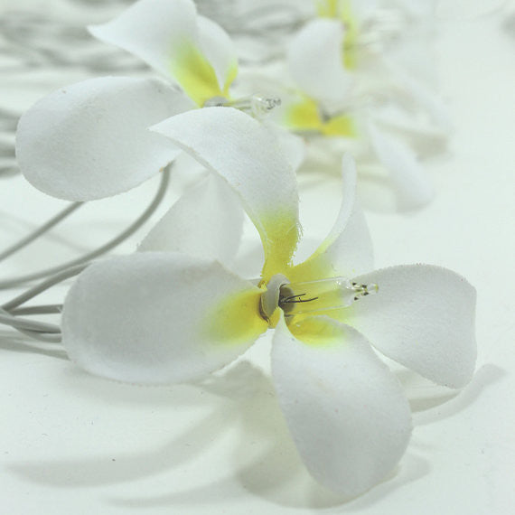 1 Set of 20 LED White Frangipani Flower Battery String Lights Christmas Gift Home Wedding Beach Party Decoration Outdoor Table Centrepiece - SILBERSHELL