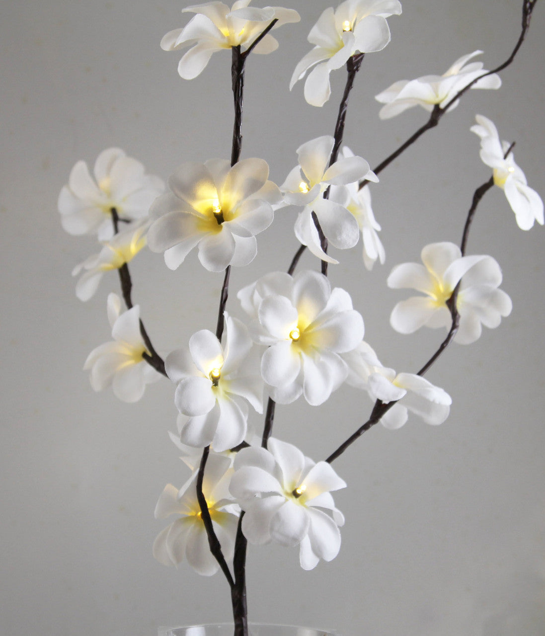 1 Set of 50cm H 20 LED White Frangipani Tree Branch Stem Fairy Light Wedding Event Party Function Table Vase Centrepiece Decoration - SILBERSHELL