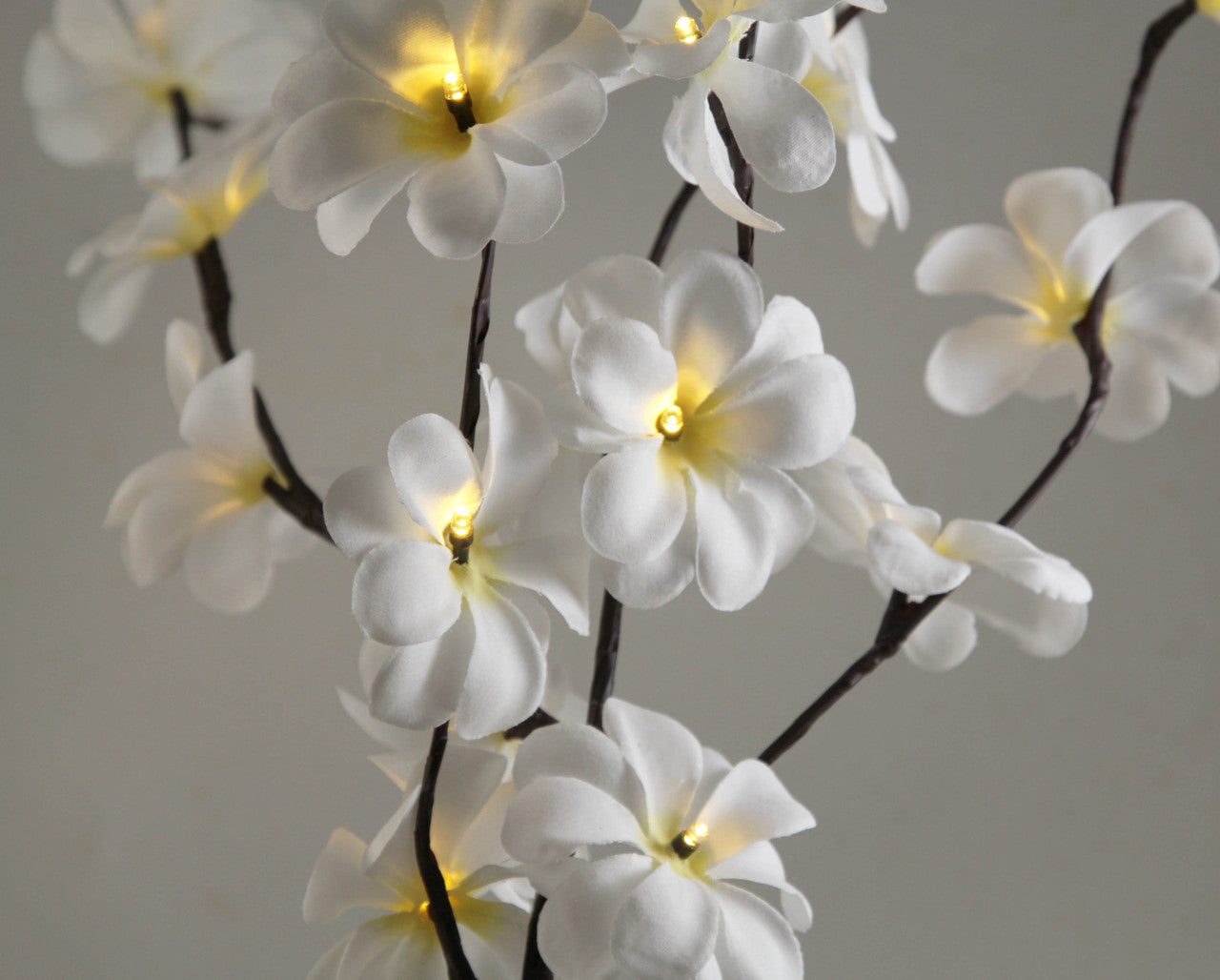1 Set of 50cm H 20 LED White Frangipani Tree Branch Stem Fairy Light Wedding Event Party Function Table Vase Centrepiece Decoration - SILBERSHELL