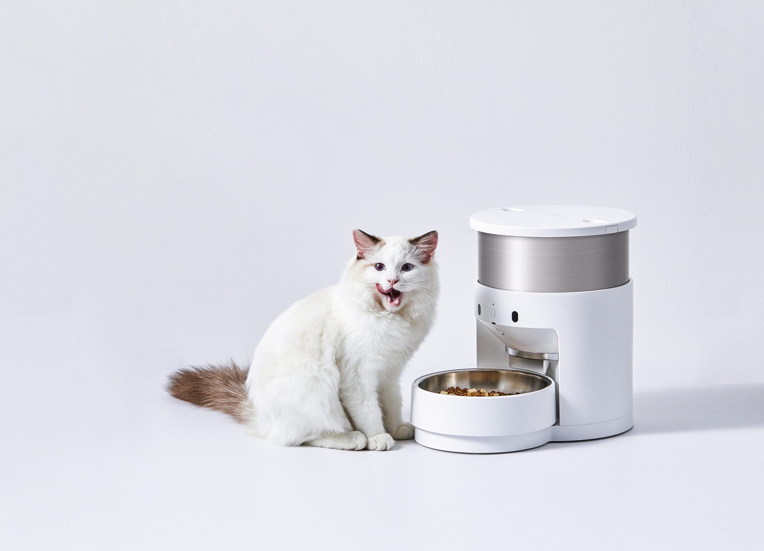 PETKIT Fresh Element 3-Smart Pet Feeder 3L - SILBERSHELL