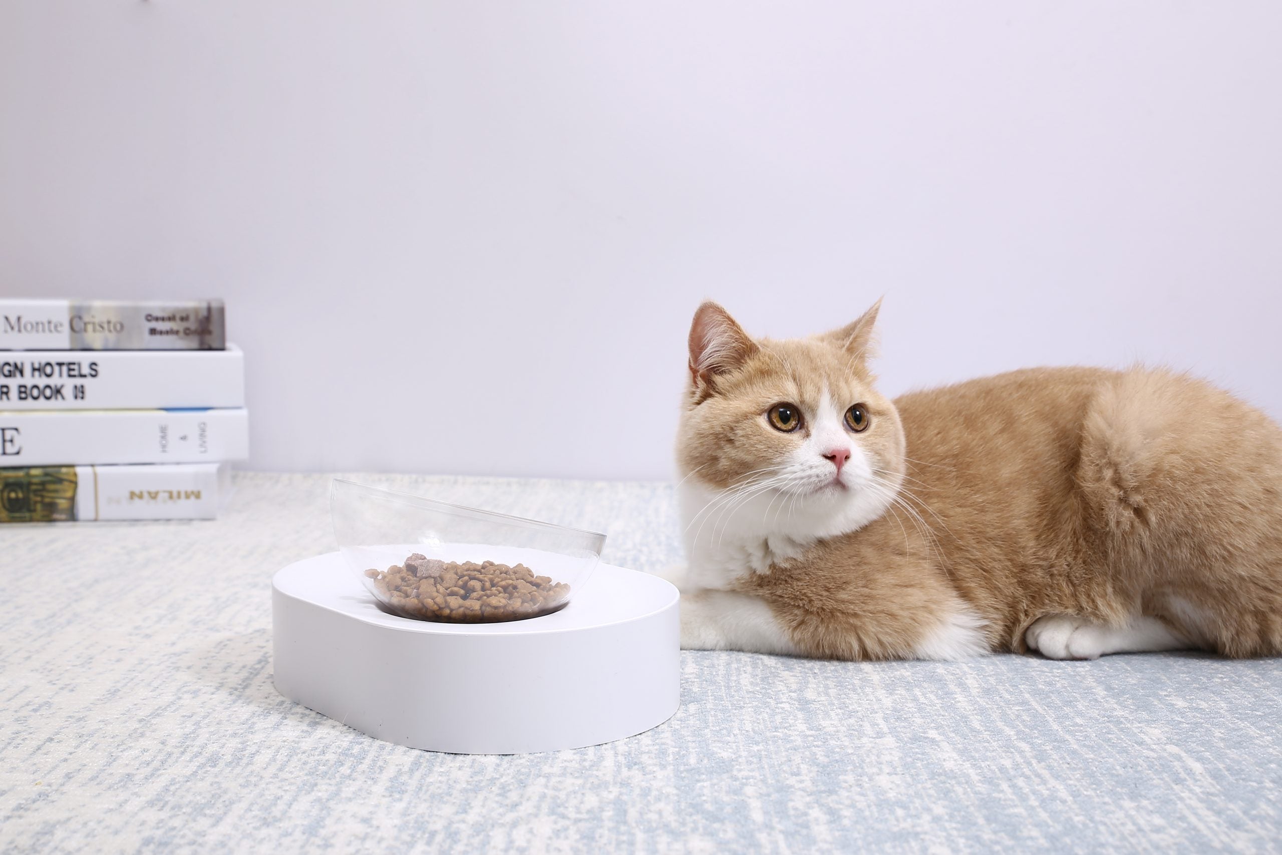 PETKIT Fresh Nano-15 Adjustable Cat Feeding Bowl -Single - SILBERSHELL