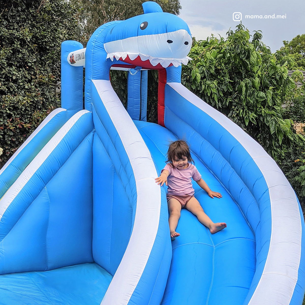 Lifespan Kids Sharky Slide & Splash Inflatable - SILBERSHELL