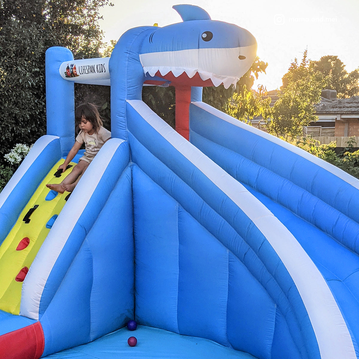 Lifespan Kids Sharky Slide & Splash Inflatable - SILBERSHELL