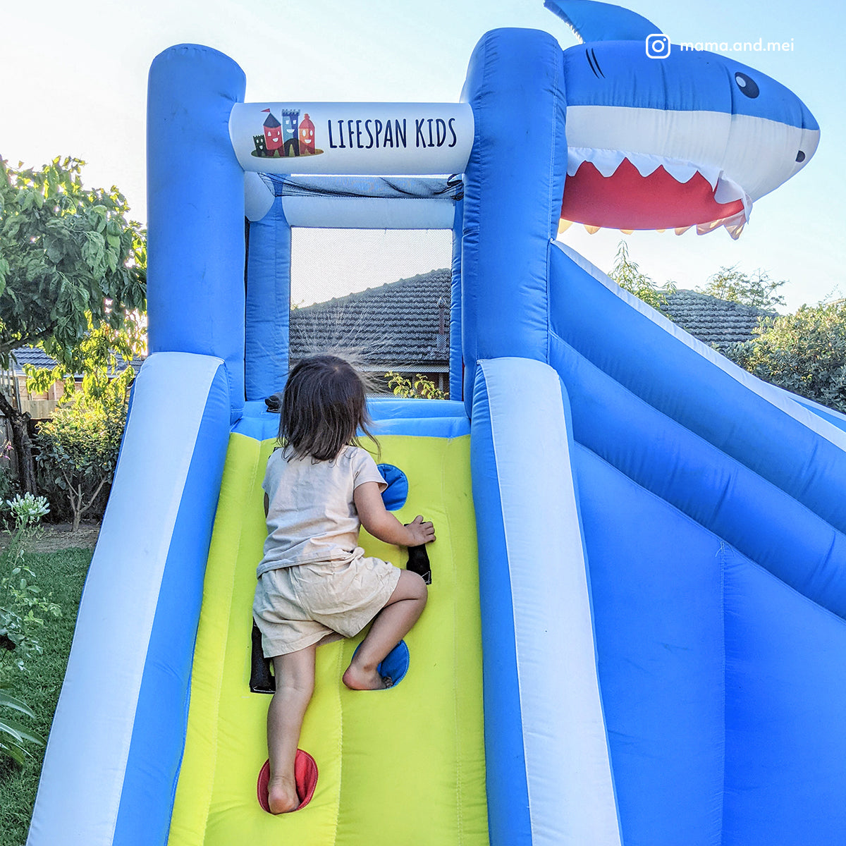 Lifespan Kids Sharky Slide & Splash Inflatable - SILBERSHELL