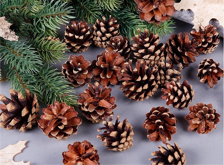 18 Christmas Natural Pine Cones Xmas Tree Hanging Home Decoration Ornament Gifts, 18x Natural Pinecones - SILBERSHELL