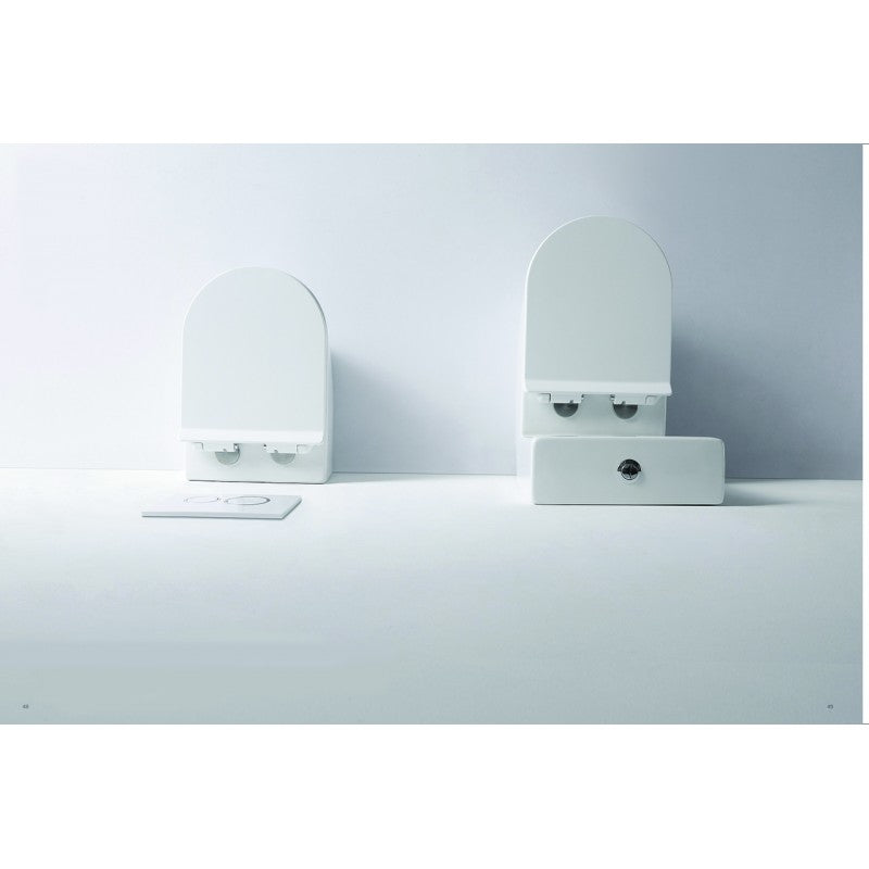 Flay-R Rimless Toilet Suite - SILBERSHELL