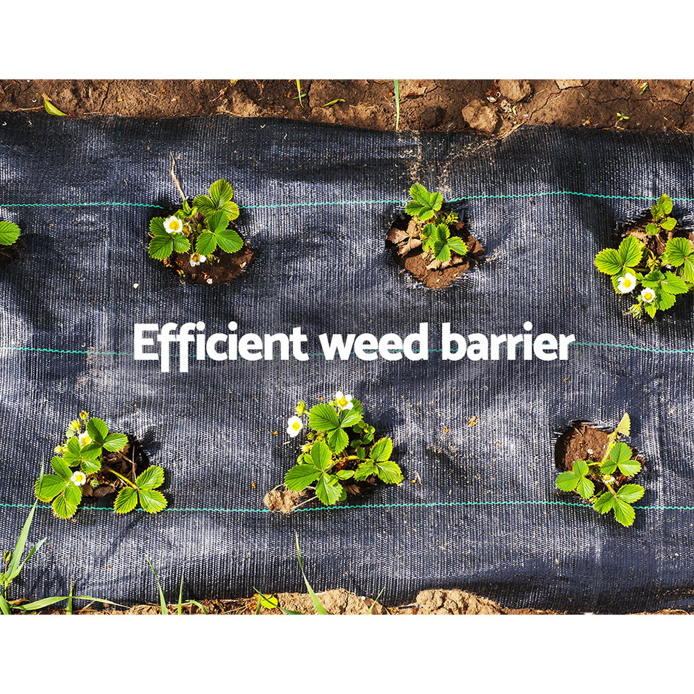 Instahut Weed Control Mat Black - SILBERSHELL